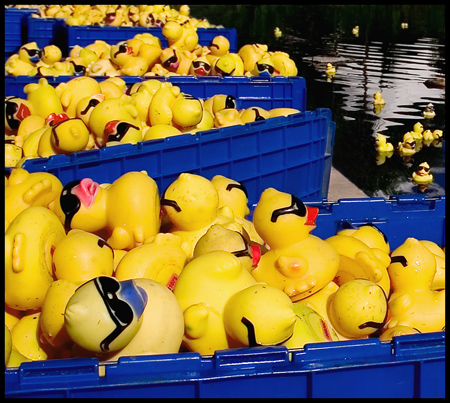 Ducks & Lipstick