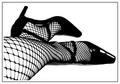 dancing shoes