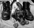 Guarding the Boots