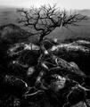 Do I understand your question then, is it hopeless and forlorn?