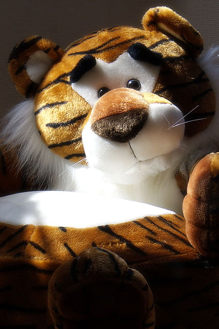 Tigger the Tiger!