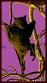 A Bat, Branch Dancer.