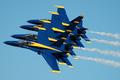Blue Angels (Branch of US Navy)
