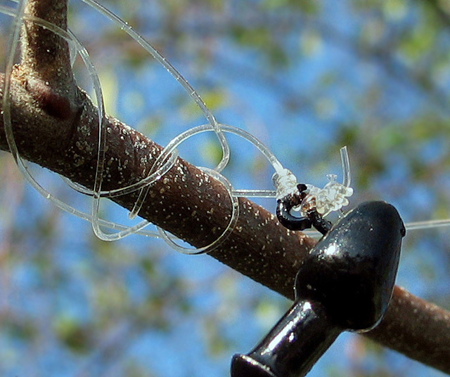 "Caught a branch"