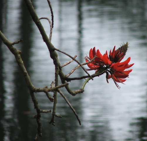 After The Rain