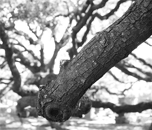 Reaching Out
