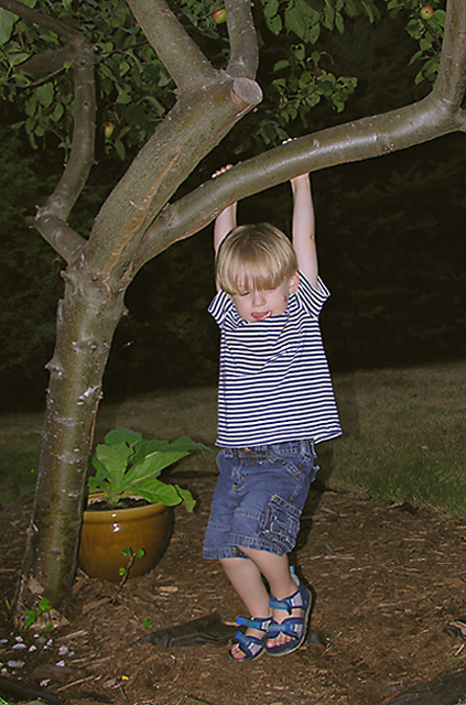 Favorite Branch in the Garden