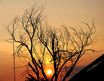 Day "branching" into night