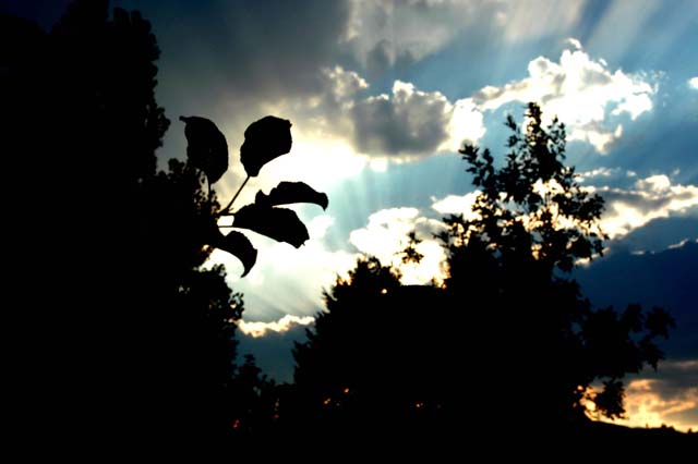 Boring Branch, Beautiful Background