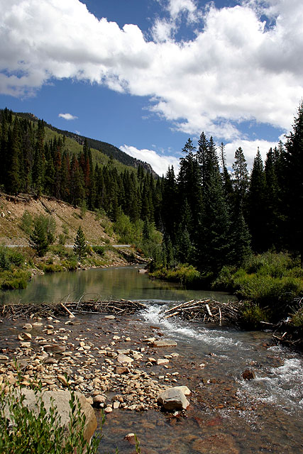 Beaver dam (branches) on the North Branch of the Snake River.
