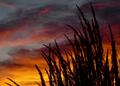 Sunset in Big Sky Country