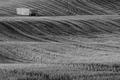 Field of view