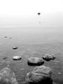 alone sailor