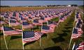 1,896 American Flags