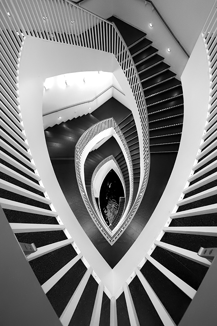 Staircase Descending to Fish Pond