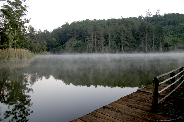 early morning shutterbugged