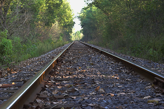 Riding the rails