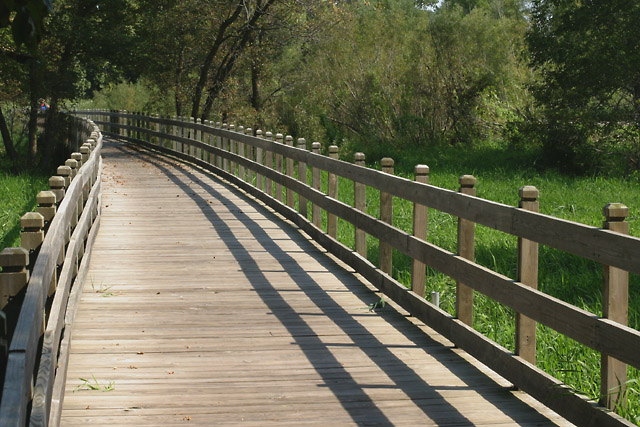 Wetland Bridge