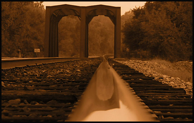 The Perspective of a Railroad Wheel