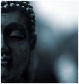 Destination: Peace through Enlightenment