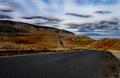 Road to heaven