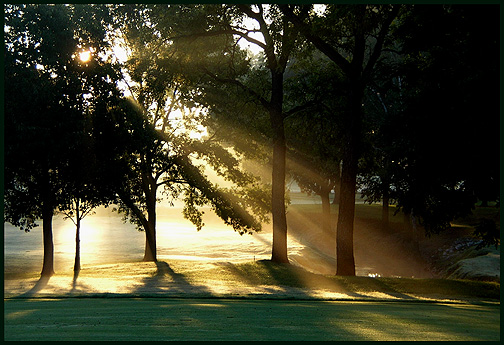 Into the Light