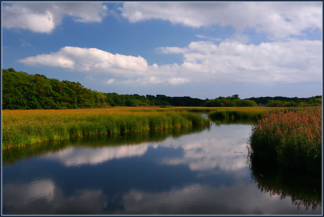 Respect Our Wilderness: it is the Preservation of the World