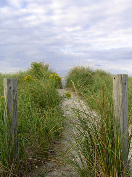 "My Solitude"   The Path To The Sea