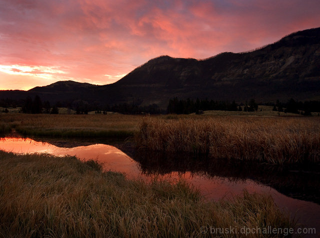 Montana