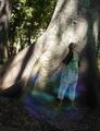 Floating Shadows