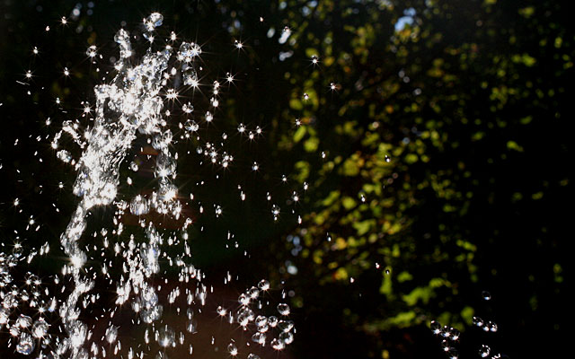 Fountain Drops