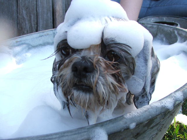 I Hate Bubble Baths