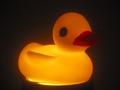 rubber ducky