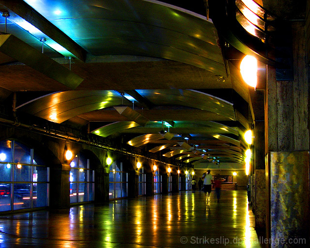Dark Walk
