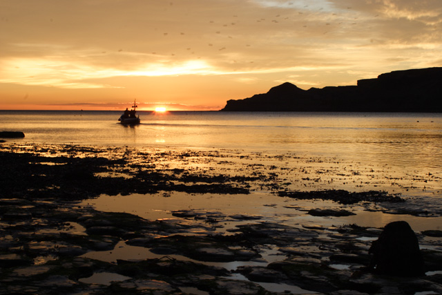 fishing at dawn