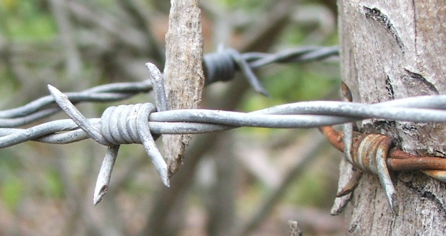 Why The Barbed Wire?