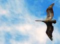 flying by
