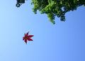 Autumn Approaches