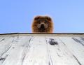 hello down there....