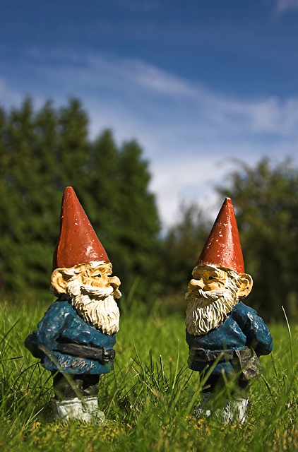 Gnomeland