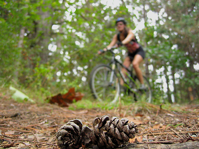 Mountain Biker