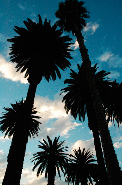 Blue Skies