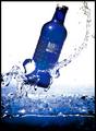 Cold Fusion