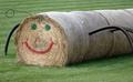 Fun with hay - Oskaloosa, IA