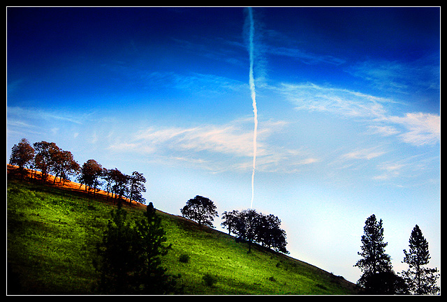 Dreamscape
