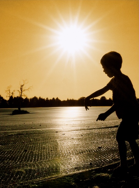 The Sower