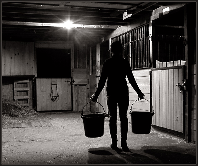 doing my night barn chores