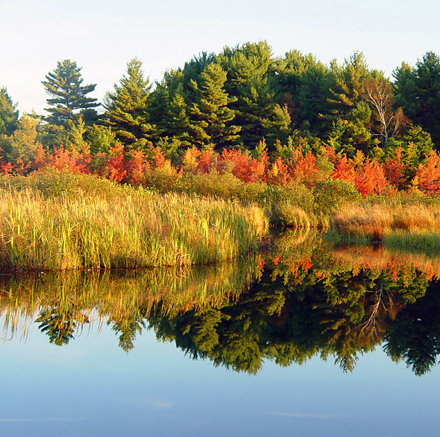 New England