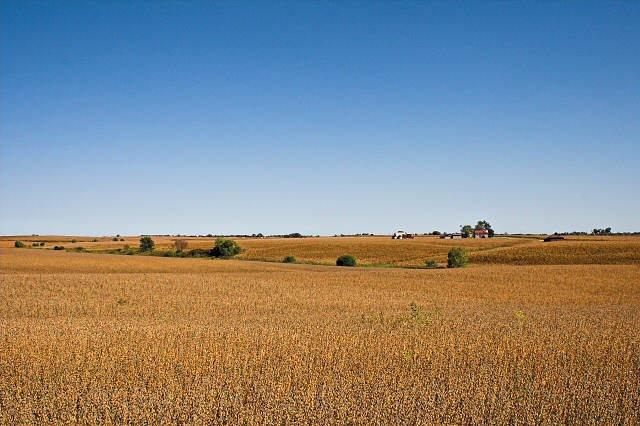 Midwest Farmland