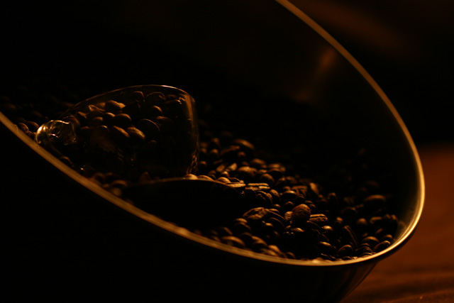 Fresh cup of coffee.